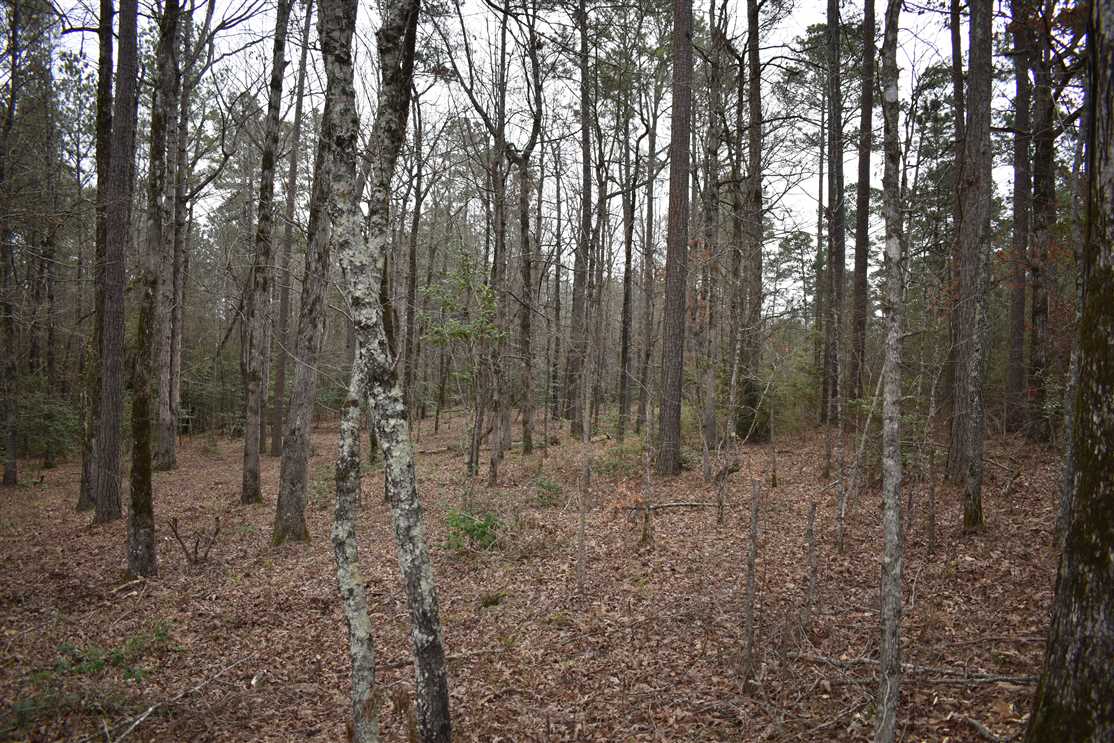 40 Acres of Land for sale in nevada County, Arkansas