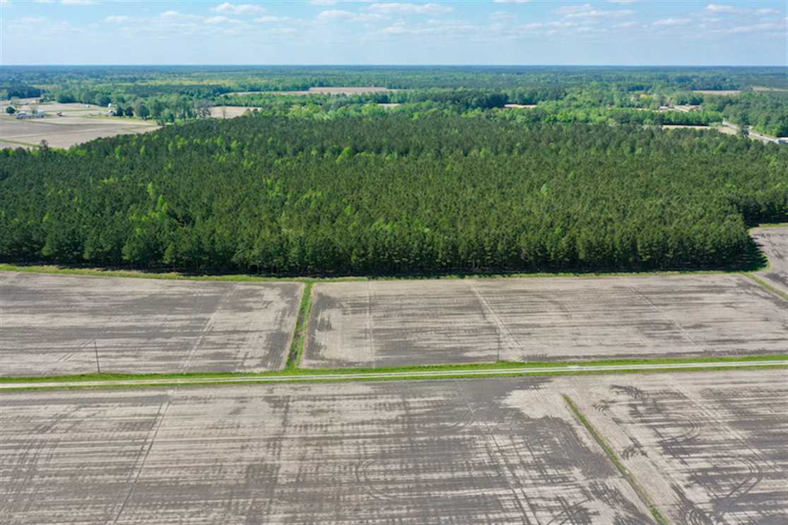 36 acre Homesite for Sale in Craven County NC! Real estate listing