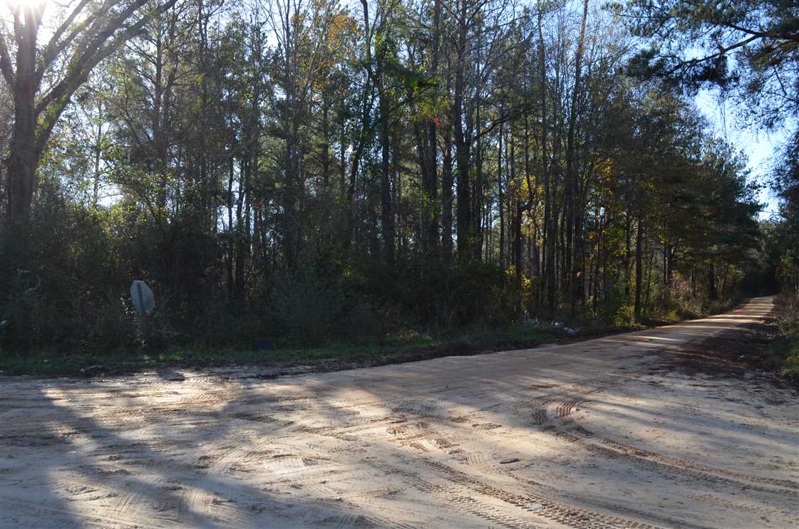 15 acres for sale in Macon County, Alabama Real estate listing