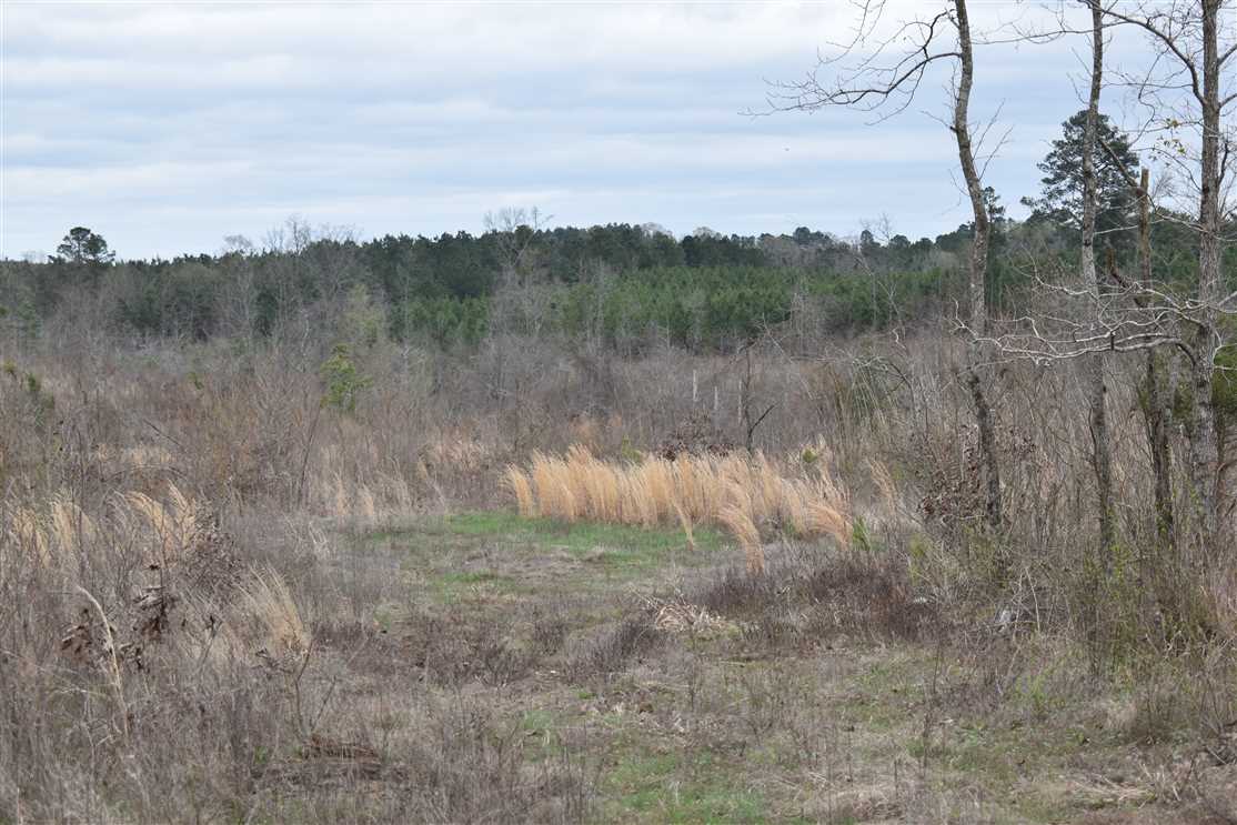Land for sale at 1641 Hempstead 16