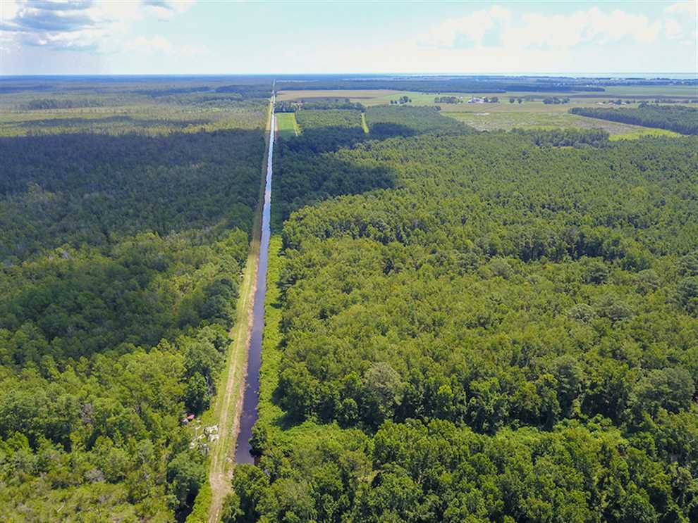 364 Acres of Land for sale in hyde County, North Carolina