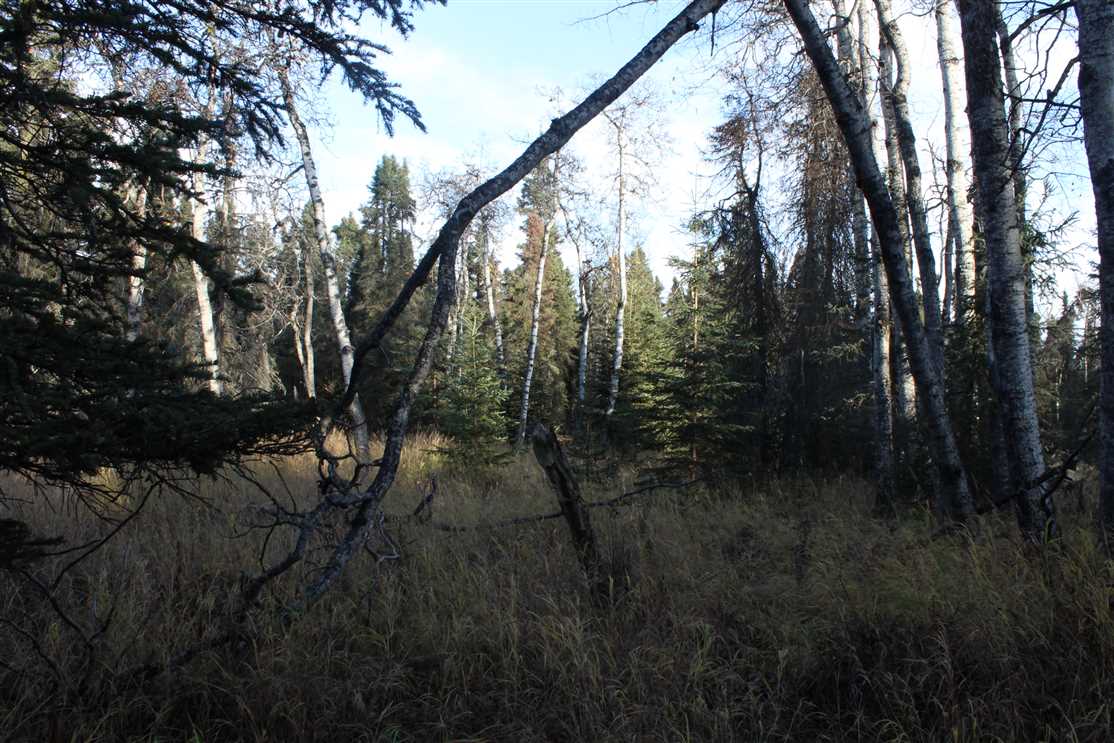 kenai peninsula County, Alaska property for sale