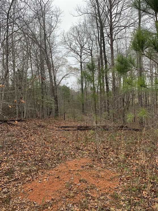 Property for sale at 000 E Old US Highway 64