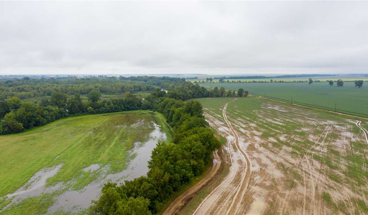 Farmland real estate available to buy