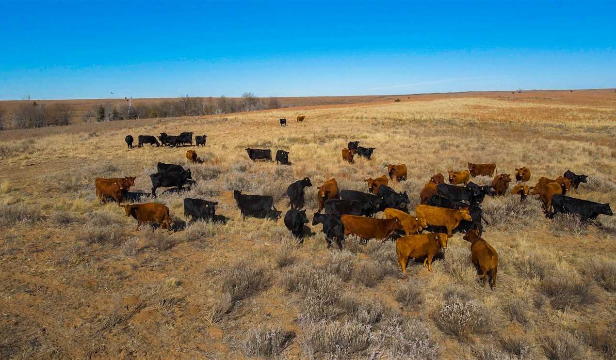 wheeler County, Texas property for sale
