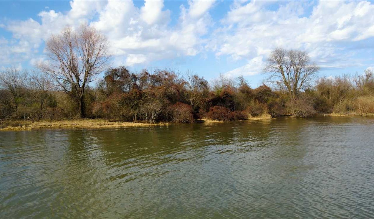 Farmland real estate available to buy