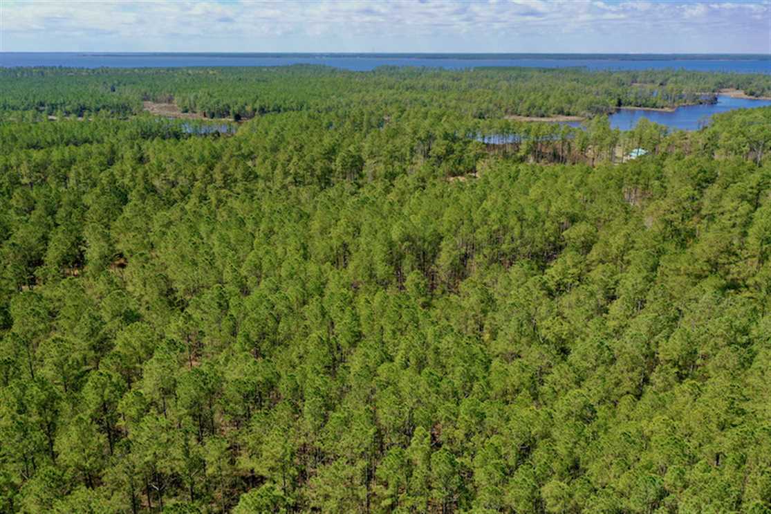 Residential and   property for sale on The Land Market
