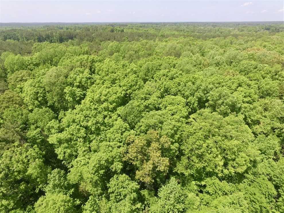 Houses and land for sale in Virginia