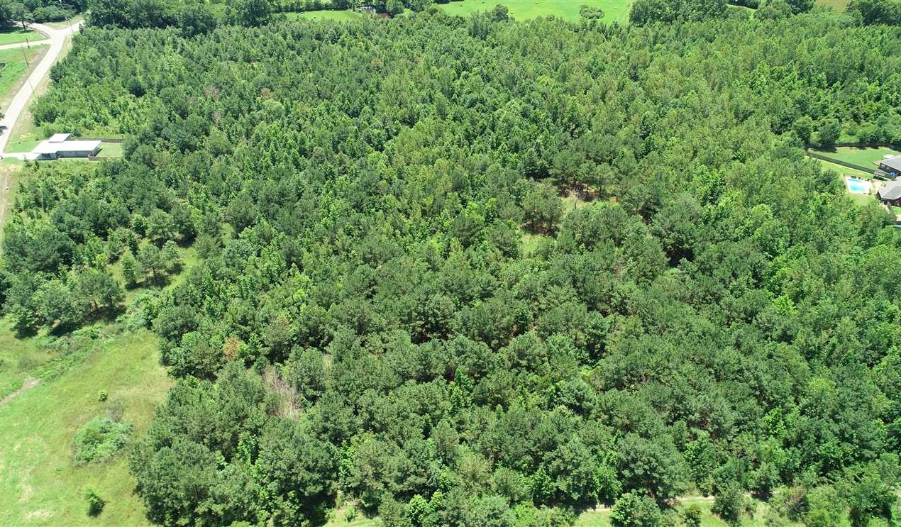 23.7 Acres of Residential land for sale in Tupelo, lee County, Mississippi
