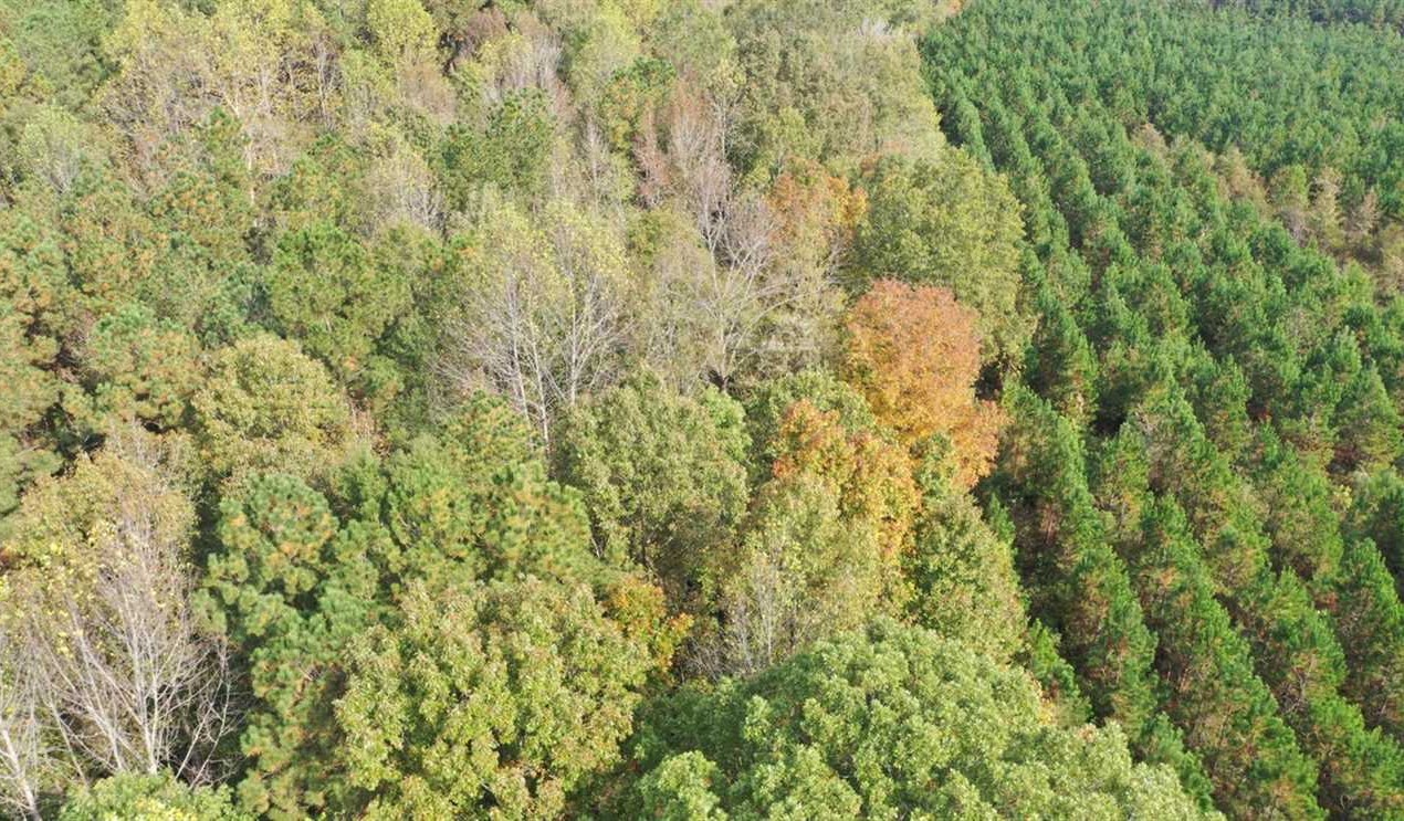 Land for sale at Off Mary Chapel Road