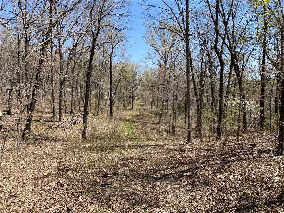 Recreational real estate available to buy