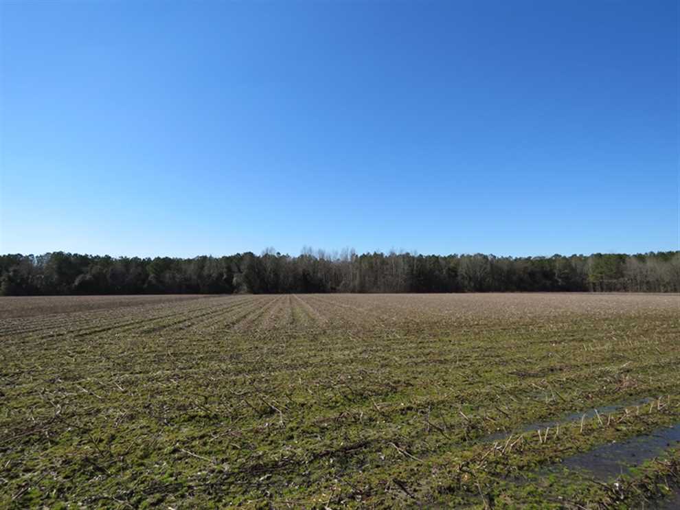 61 Acres of Farm, Timber, and Development Land For Sale in Cumberland County NC! Real estate listing