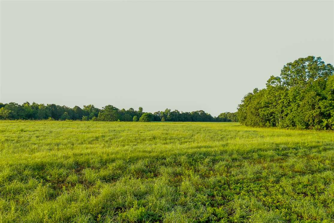 20 Acres of Land for sale in elmore County, Alabama