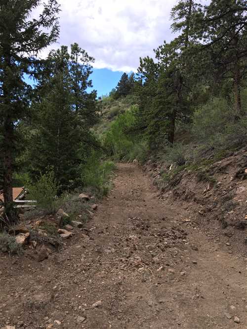 19 Acres of Land for sale in clear creek County, Colorado