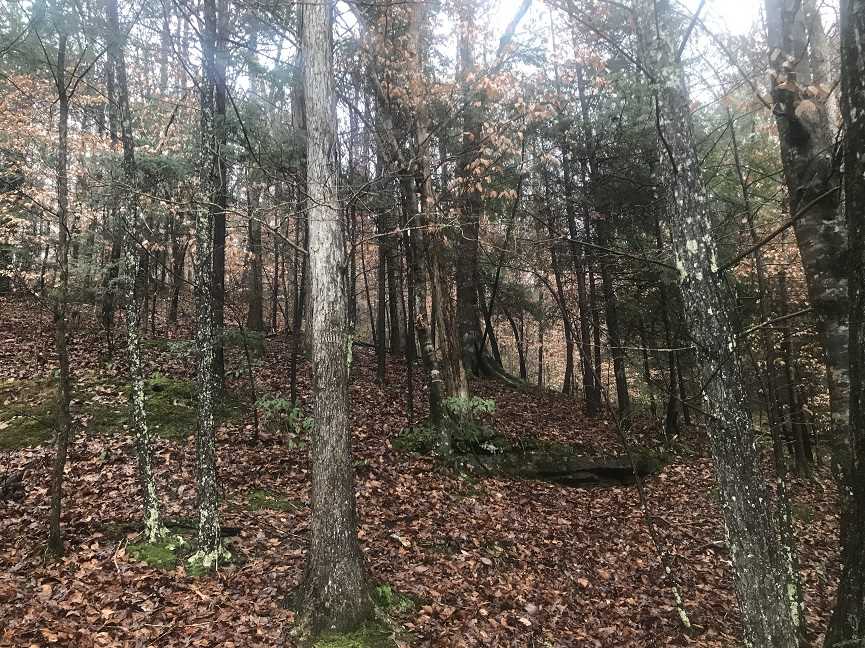 Houses and land for sale in Alabama