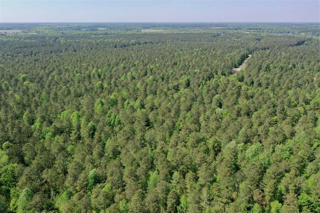Land for sale to buy in 27932 zip code