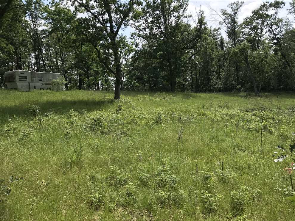 65 Acres of Land for sale in adams County, Wisconsin