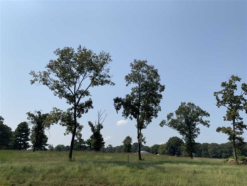 Houses and land for sale in Arkansas