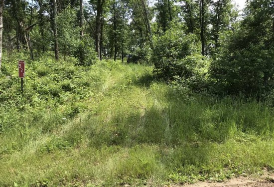 65 Acres of Land for Sale in adams County Wisconsin