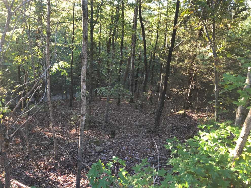 300 Acres of Land for sale in van buren County, Arkansas
