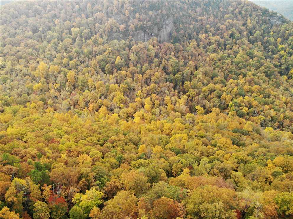 15.85 Acres of Residential land for sale in Black Mountain, buncombe County, North Carolina
