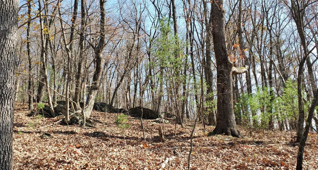 Houses and land for sale in North Carolina