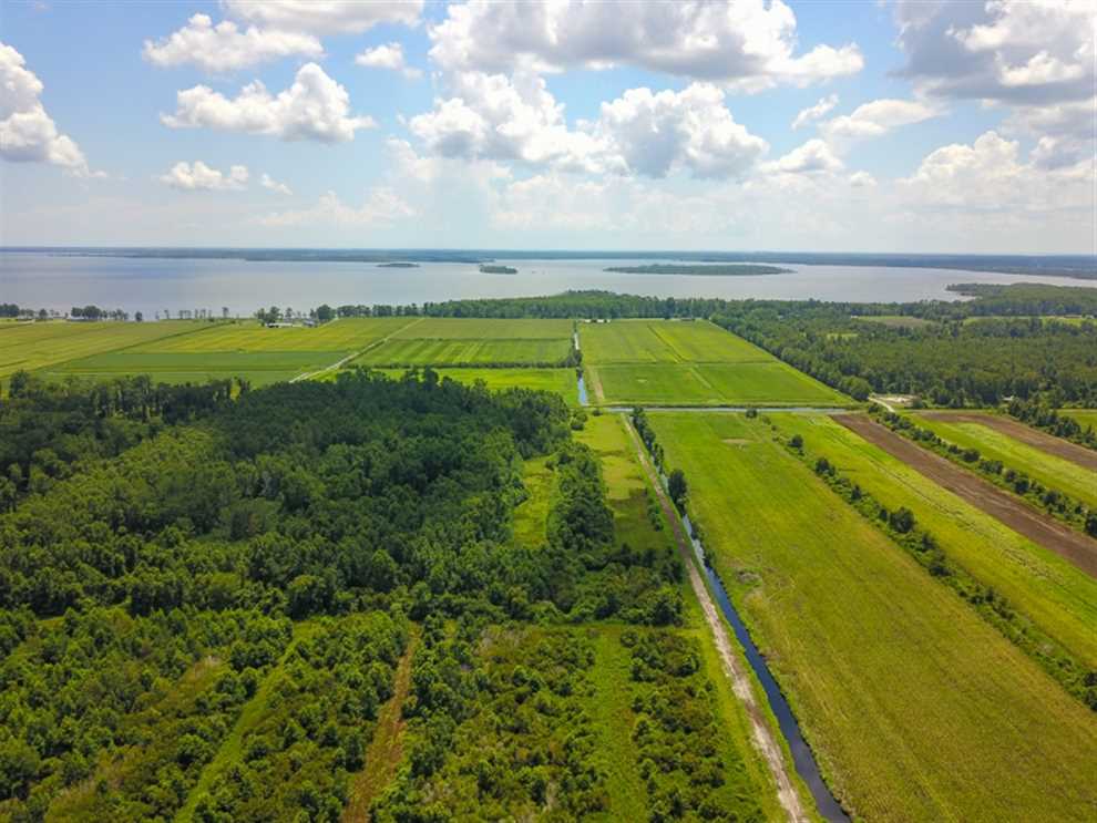 844 Acres of Hunting Land For Sale in Hyde County NC! Real estate listing