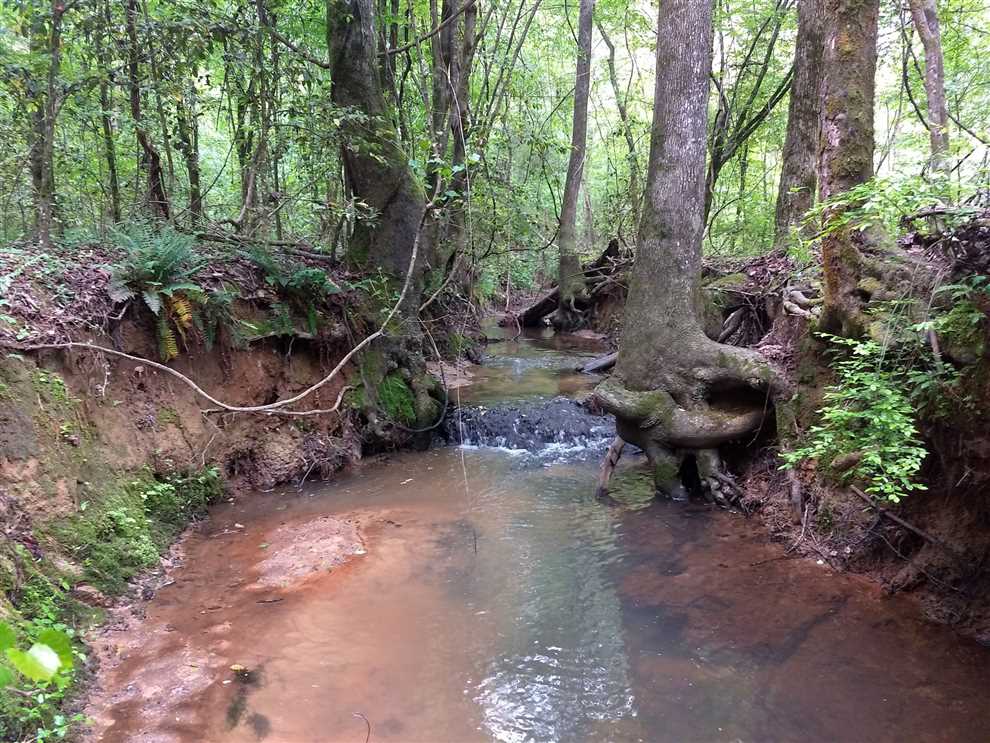 Houses and land for sale in Louisiana