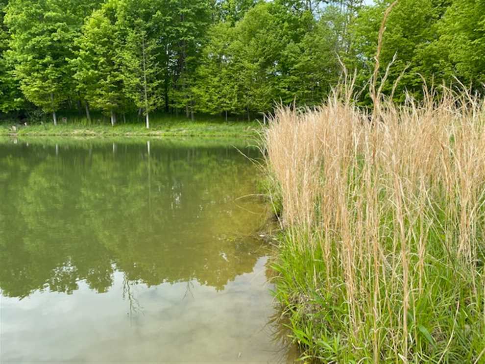 141 Acres of Land for Sale in ohio County, Indiana