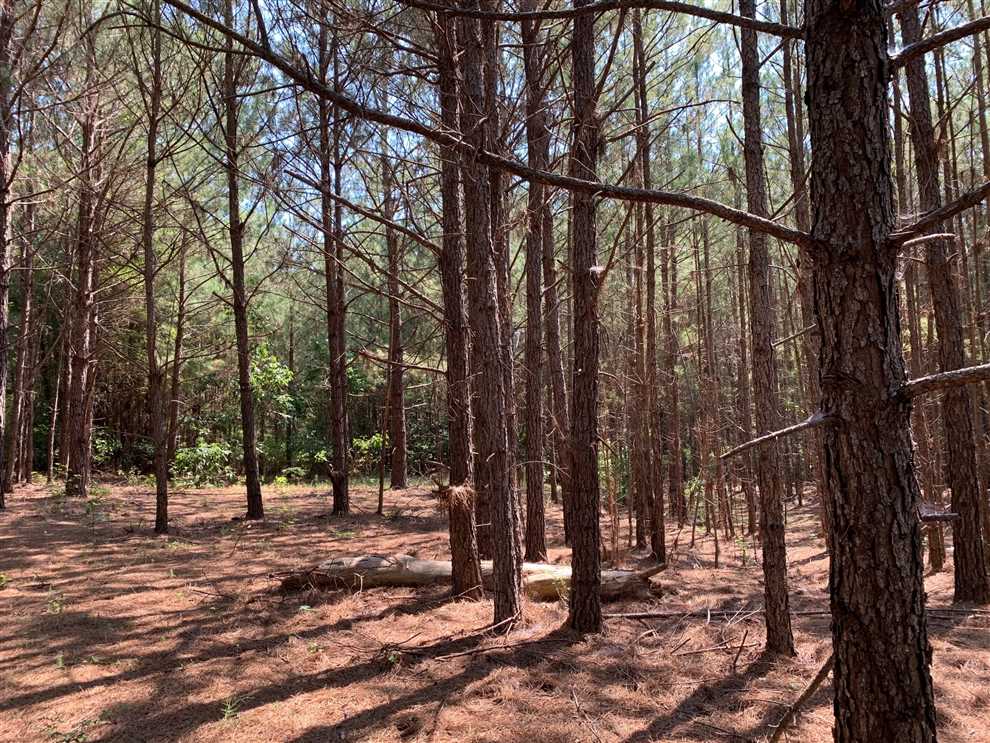 property for sale on The Land Market