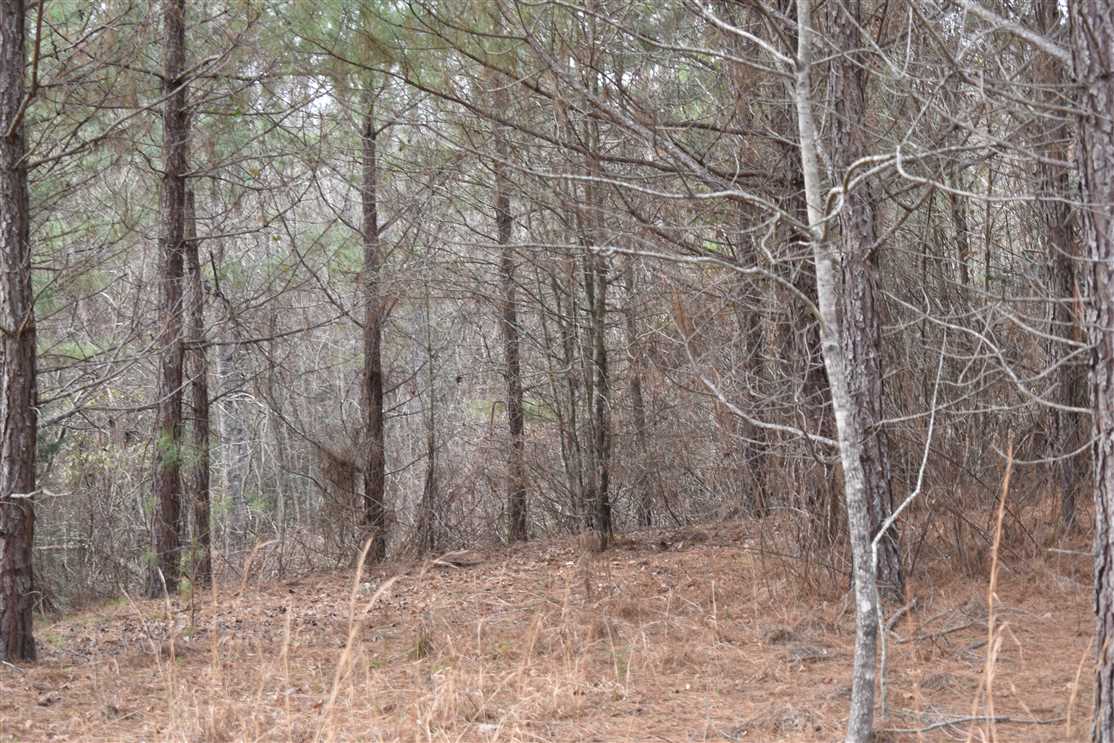 Land for sale at Berry Road