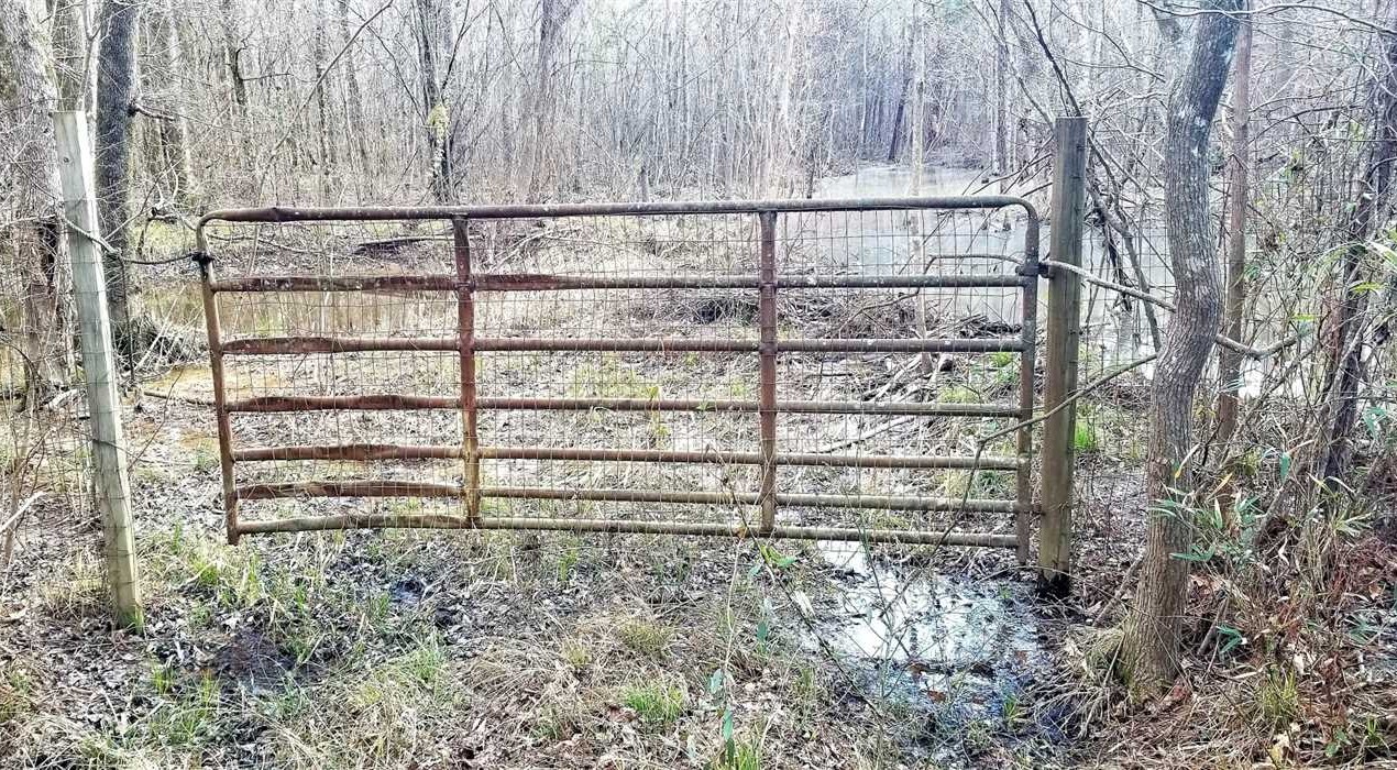 Pollock land available for purchase