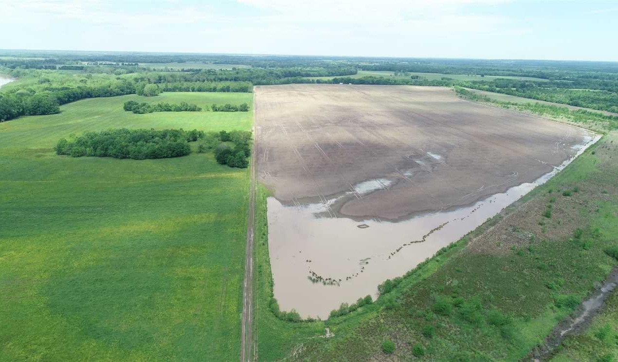 Ashdown land available for purchase