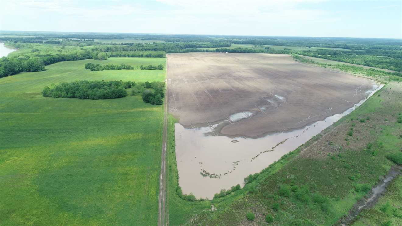 320 Acres of Land for Sale in little river County, Arkansas