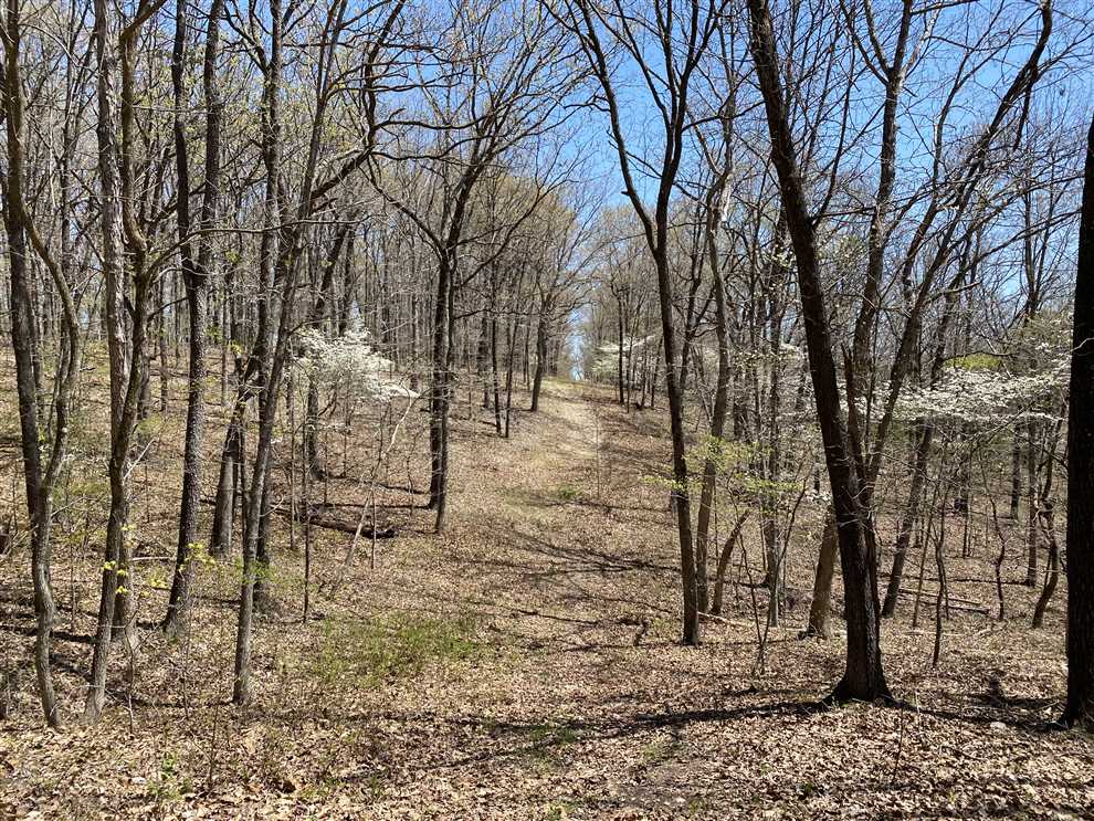 Land for sale to buy in 65084 zip code