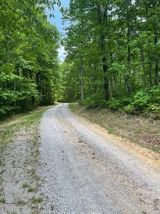 5.00+/-acres Beautiful wooded property lwith small pond located in the reputable Blueberry Bluffs. Real estate listing