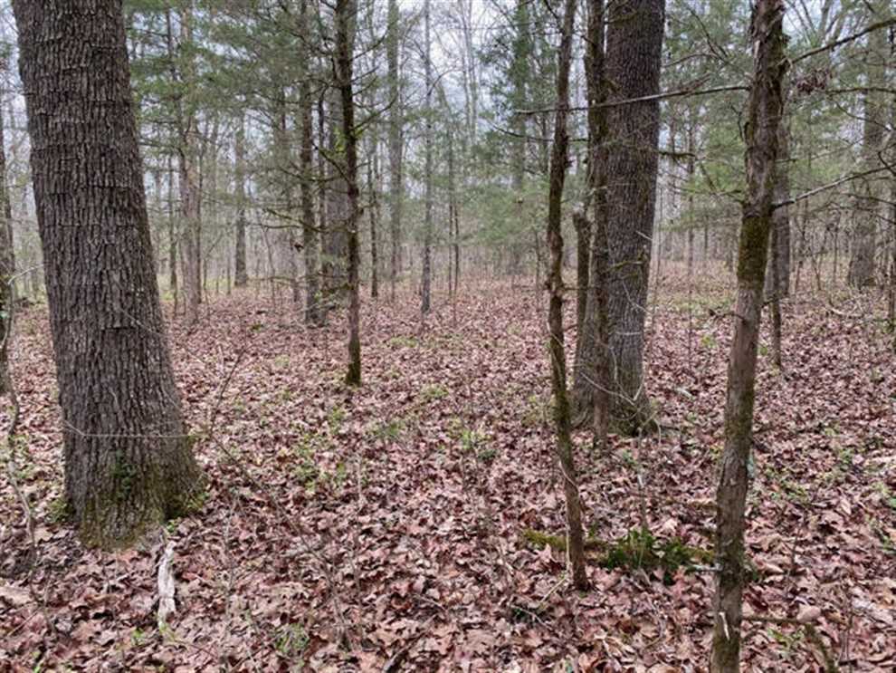 31.2 Acres of Residential land for sale in Tupelo, lee County, Mississippi