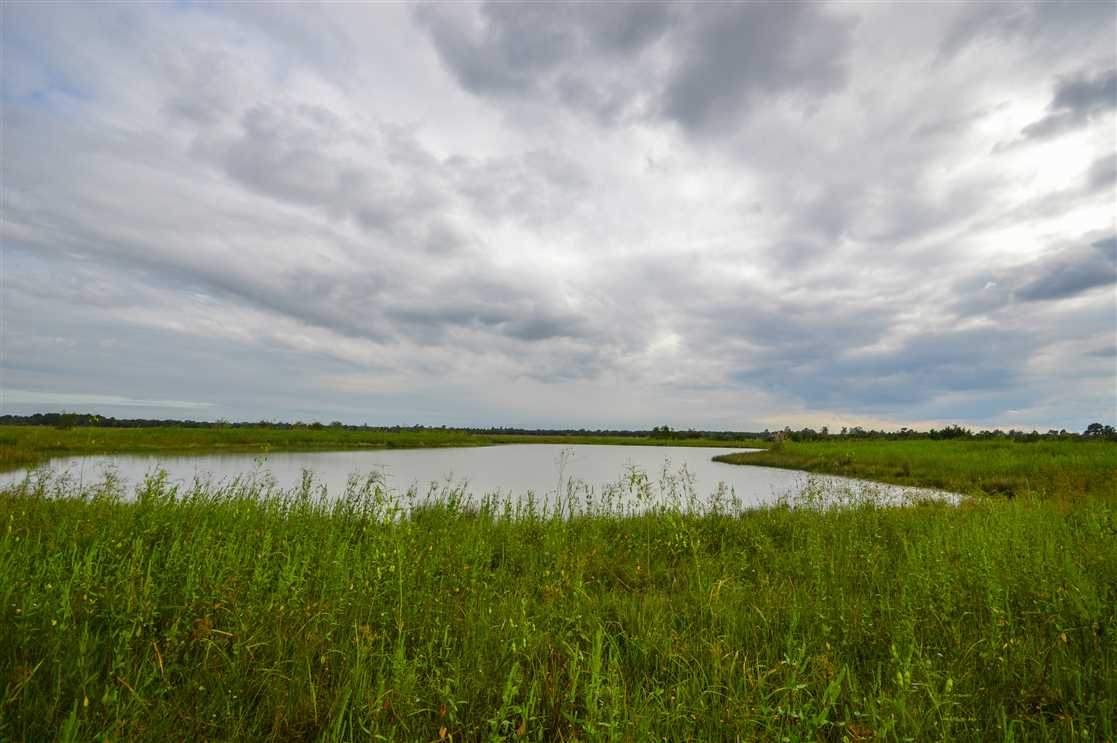 Recreational and   property for sale on The Land Market