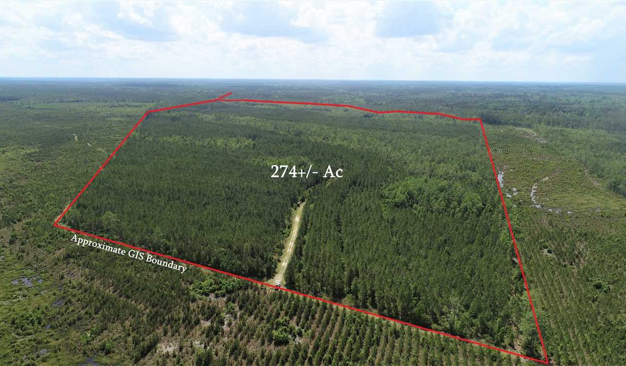 274 Acres of Land for Sale in brantley County Georgia