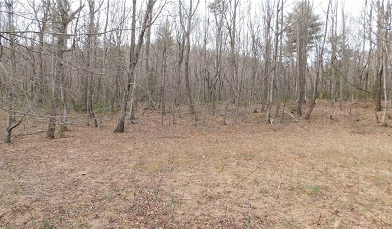 15.41 Acres of Land for sale in patrick County, Virginia