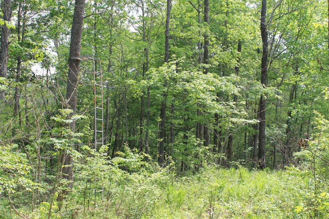 Farmland real estate available to buy