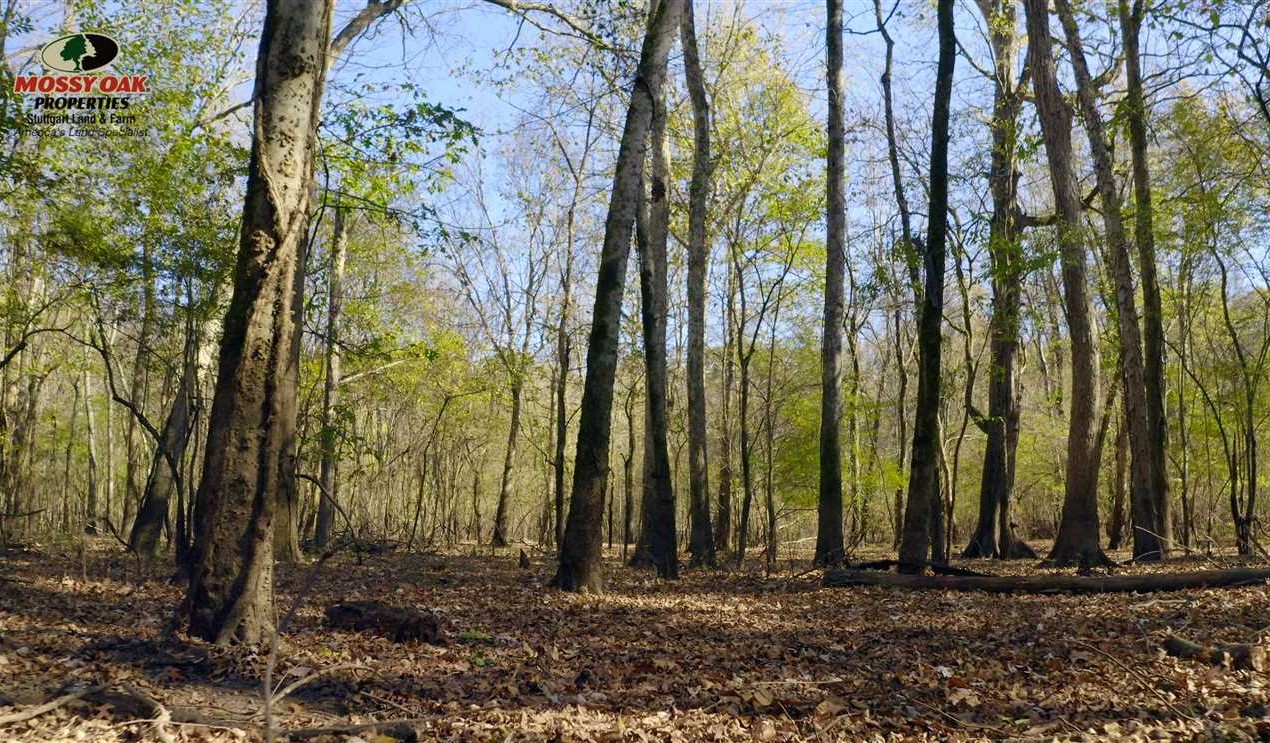 property for sale on The Land Market