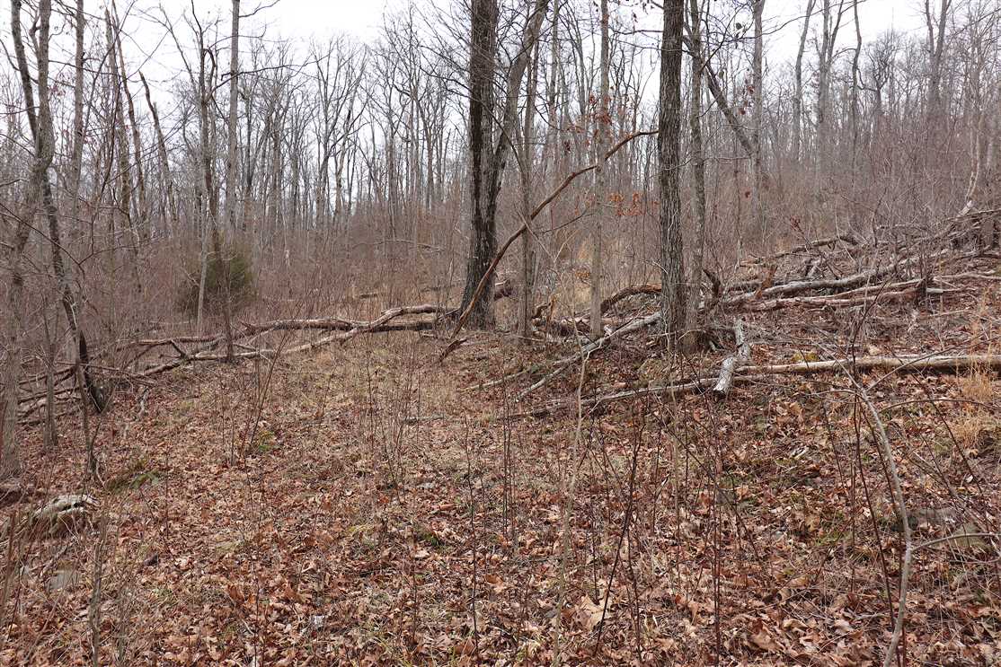 60 Acres of Recreational land for sale in Witter, madison County, Arkansas