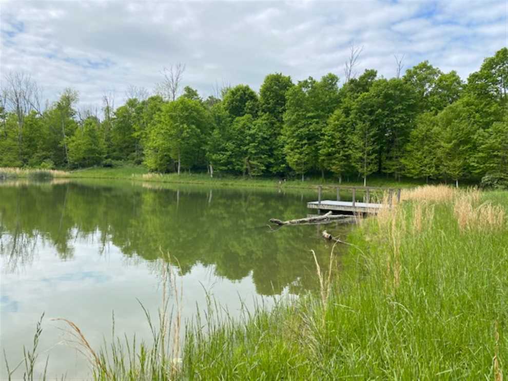 141 Acres of Land for Sale in ohio County, Indiana