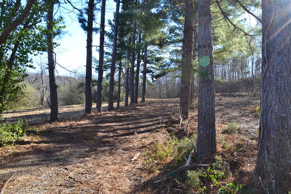 Property for sale at