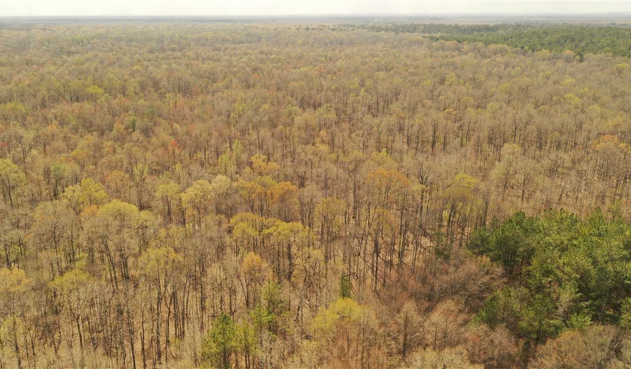 320 Acres of Land for sale in oktibbeha County, Mississippi