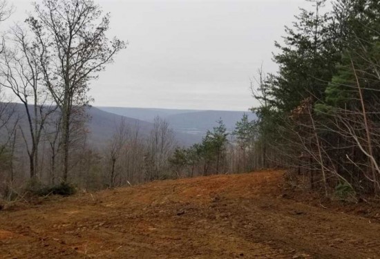 133.8 Acres of Land for Sale in marion County Tennessee