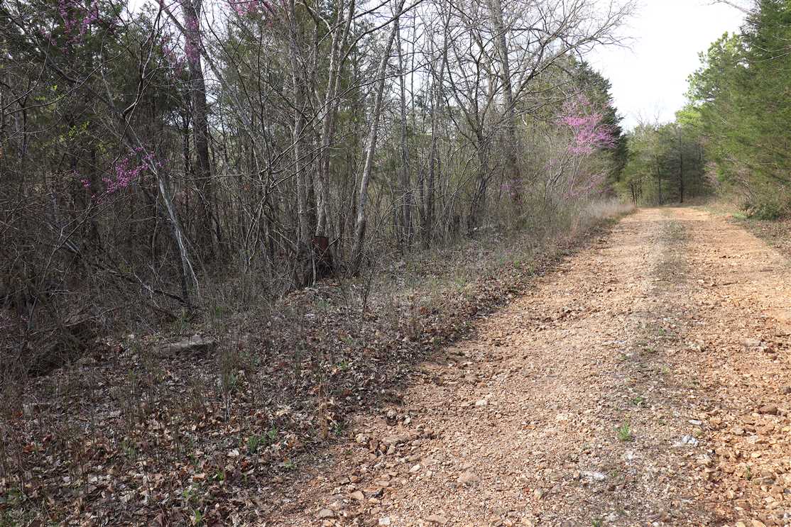 Land for sale to buy in 72631 zip code