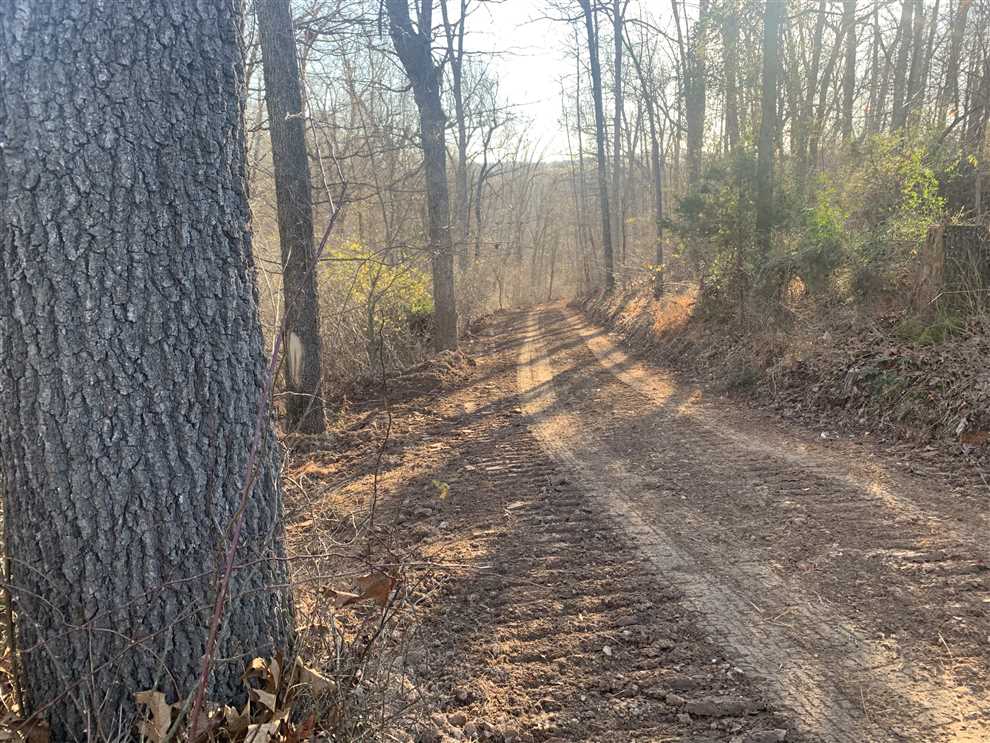 61 Acres of Recreational land for sale in Rogers, benton County, Arkansas