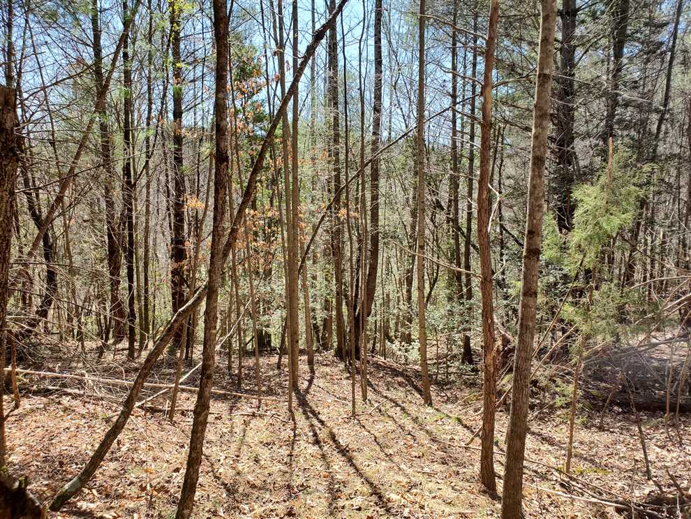 wilkes County, North Carolina property for sale